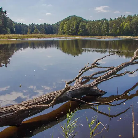 Apartment Felsenland-apartment *