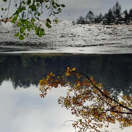 Felsenland-apartment Apartment Ludwigswinkel