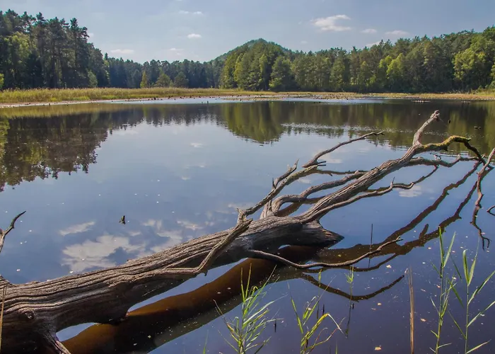 Apartamento Felsenland-apartment *