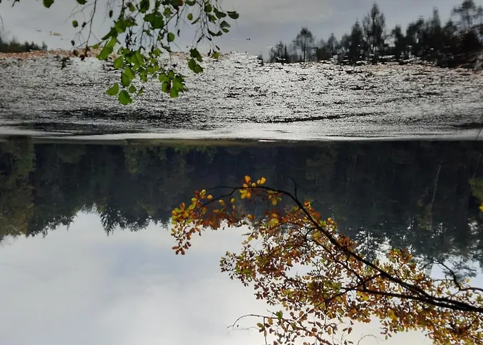 Felsenland-apartment Apartamento Ludwigswinkel